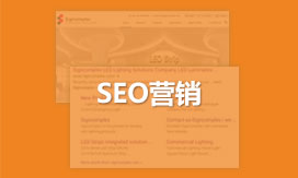 符合搜索引擎爬取的<br>行业领先SEO技术